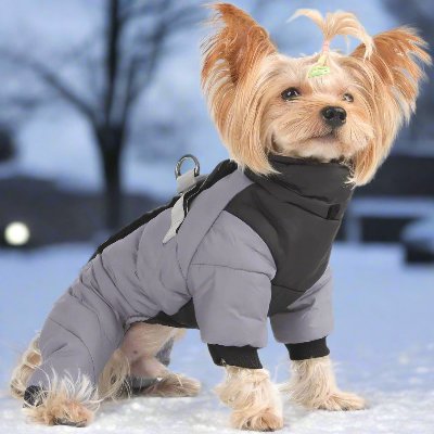 Doudoune pour Chien - WarmJacketDog™ - Gris - Chien Ravi