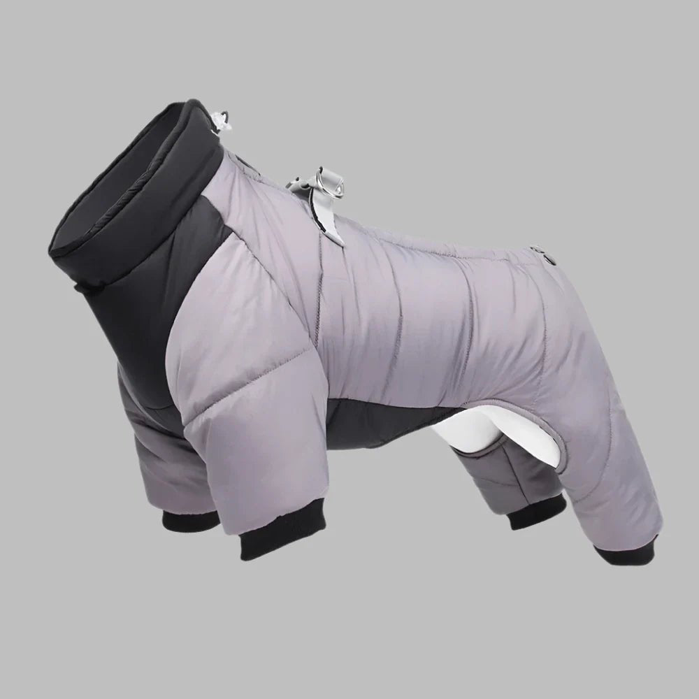 Doudoune pour Chien - WarmJacketDog™ - Gris - Chien Ravi