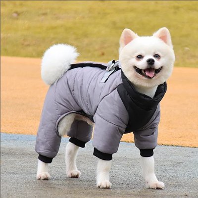 Doudoune pour Chien - WarmJacketDog™ - Gris - Chien Ravi