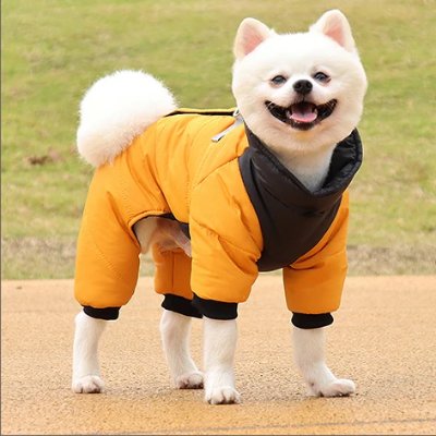 Doudoune pour Chien - WarmJacketDog™ - Jaune - Chien Ravi