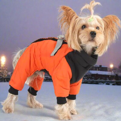 Doudoune pour Chien - WarmJacketDog™ - Orange - Chien Ravi