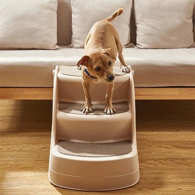 Escabeau chien dogladder confortable