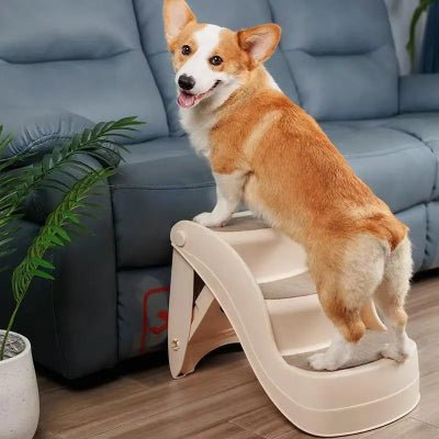 Escabeau chien dogladder corgi