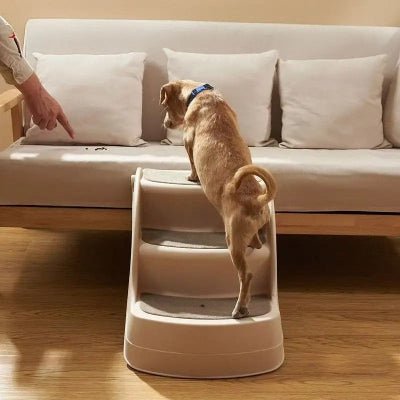 Escabeau chien dogladder canapé