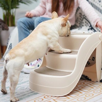 Escabeau chien dogladder bulldog français