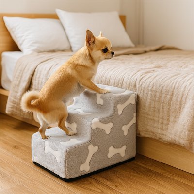 Escalier chien bony chihuahua