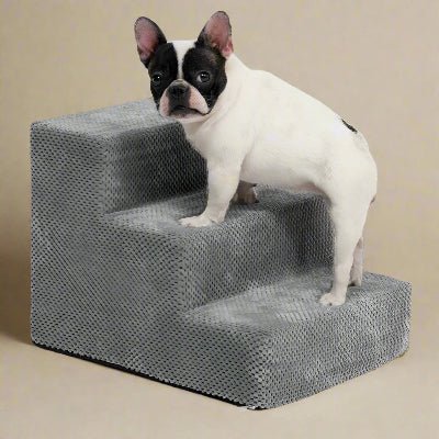 bulldog francais escalier chien dehoussable gris