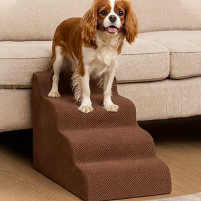 Escalier pour chien seniorstep cavalier king charles
