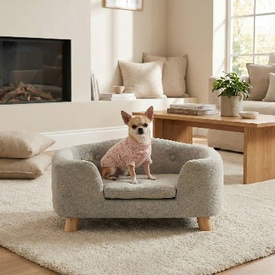 Superbe fauteuil chien Élégance Déco
