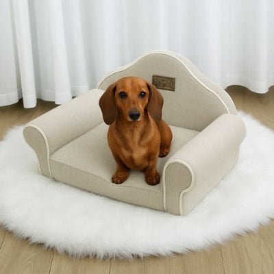 fauteuil chien lin élégant teckel