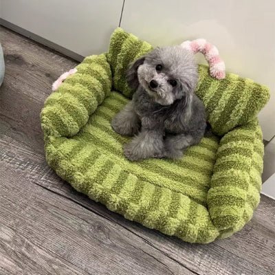 mignon fauteuil pour chien