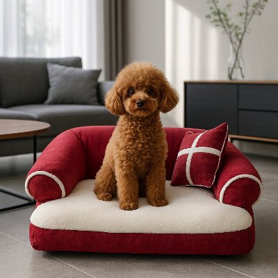 fauteuils pour chiens caniche