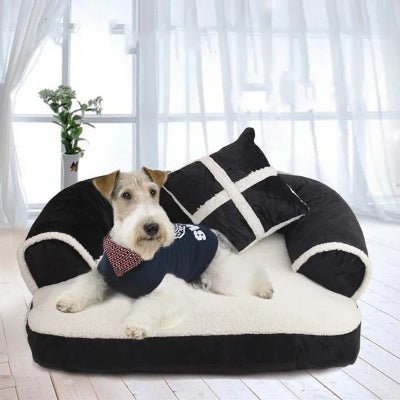 fauteuils pour chiens schnauzer