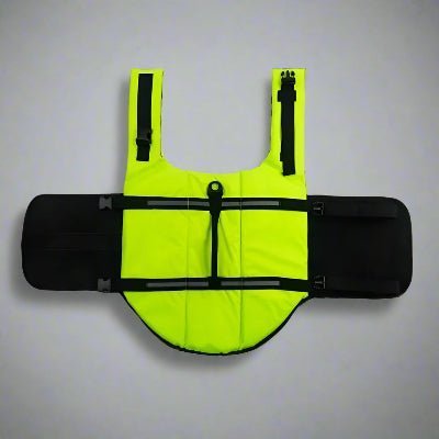 vert gilet de sauvetage pour chien