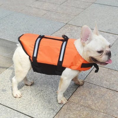 bulldog gilet de sauvetage pour chien