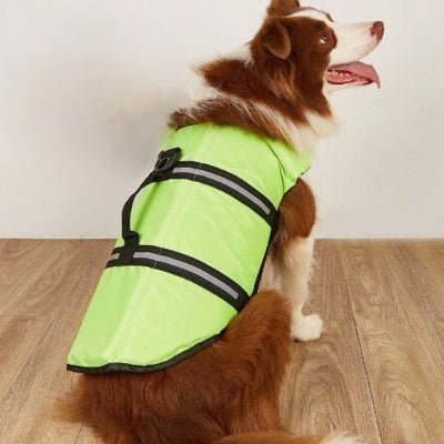 grand gilet de sauvetage pour chien