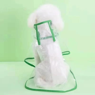 impermeable chien clair vert