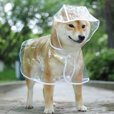 imperméable chien clair blanc