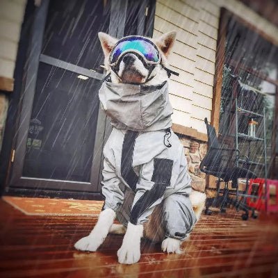 impermeable chien luminescent protection complete