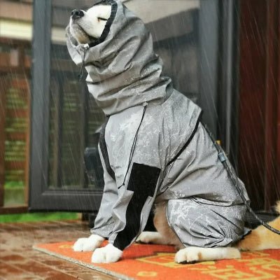 impermeable chien luminescent capuchon