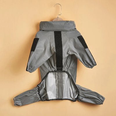 impermeable chien luminescent cintre