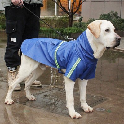 impermeable chien rainywalker bleu