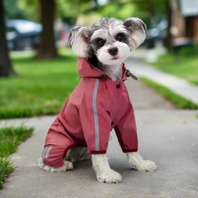 confortable impermeable pour chien lotus etanche