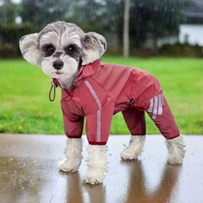 joli impermeable pour chien lotus