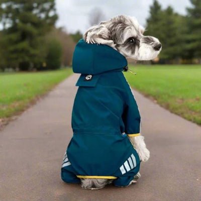 capuchon impermeable pour chien lotus