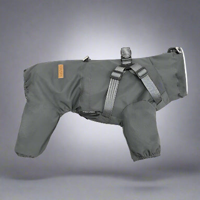 impermeable pour chien wetfreemood gris
