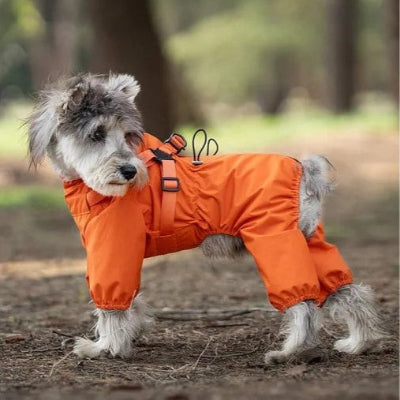 impermeable pour chien wetfreemood