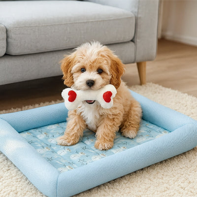 joli tapis rafraichissant pour chien