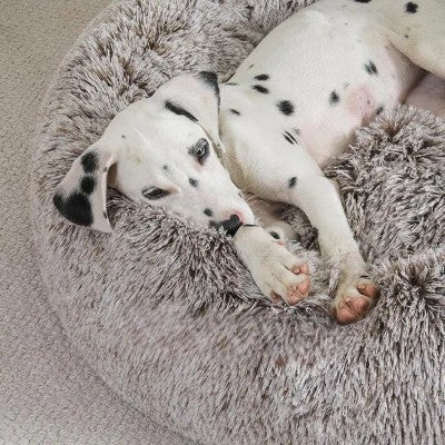 lit pour chien fluffybed dalmatien