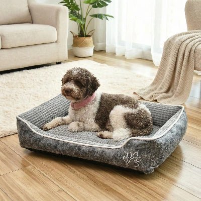 Lit pour chien Suède Velours Lagotto Romagnolo