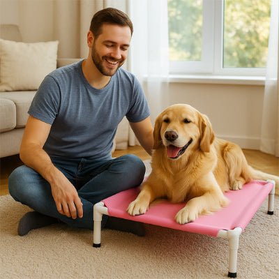 Lit pour chien surélevé rose