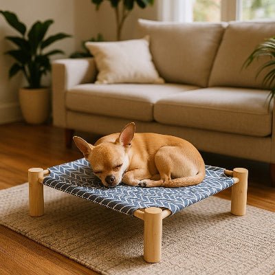 lit sureleve chien zéphyr chihuahua