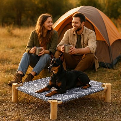 lit sureleve chien zéphyr pintcher