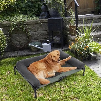 lit sureleve pour chien golden retriever