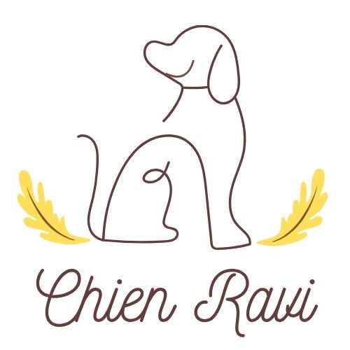 logo-chien-ravi