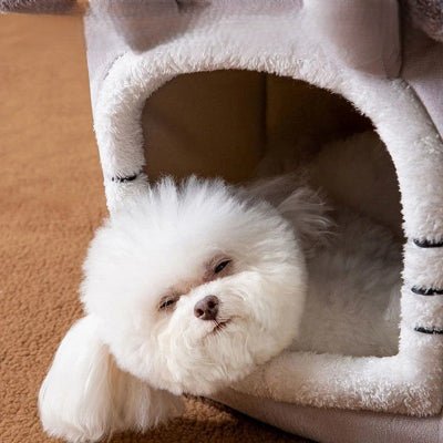 maisonnette-chien-securisante