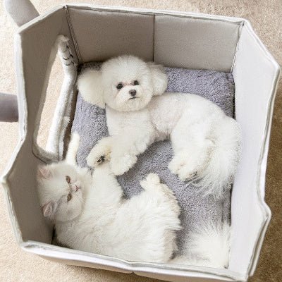 grande-maisonnette-chien