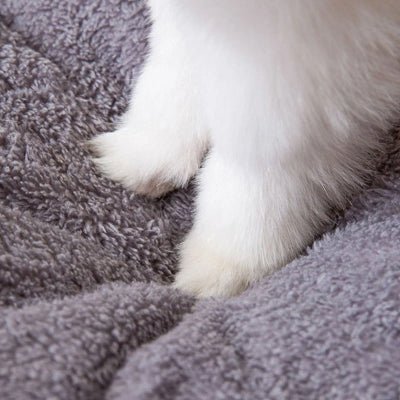 maisonnette-chien-coussin-moelleux