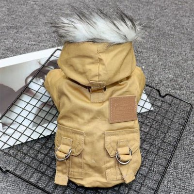 kaki manteau chien dgny