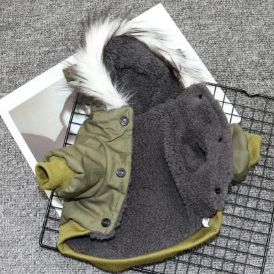 vert manteau chien dgny