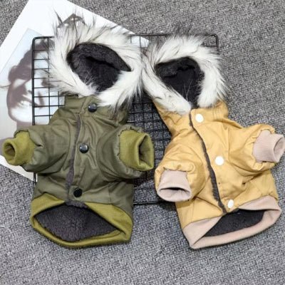 duo manteau chien dgny