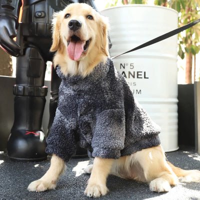 beau manteau chien laine gris