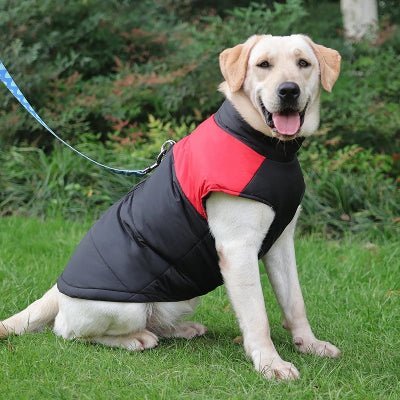 manteau chien weatherproof rouge