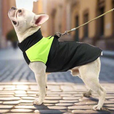 manteau chien weatherproof vert bulldog