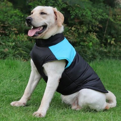 manteau chien weatherproof bleu