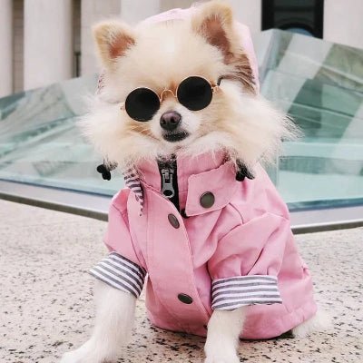 manteau pour chien fashion pomeranien